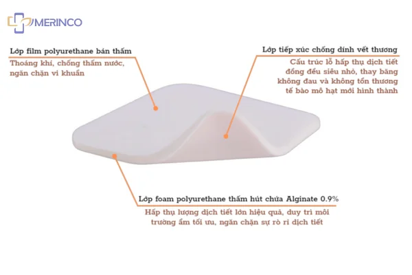 Cấu tạo của Băng xốp