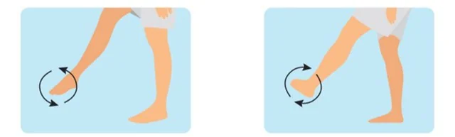 Bài tập cho người mắc bệnh suy tĩnh mạch chân- Ảnh 10. xoay cổ chân