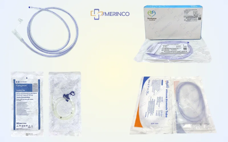 các loại xông nuôi ăn