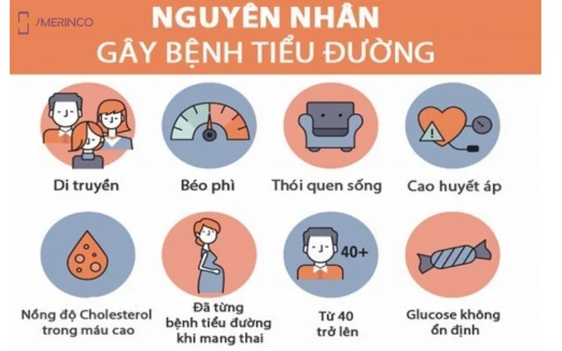 nguyên nhân gây bệnh tiểu đường