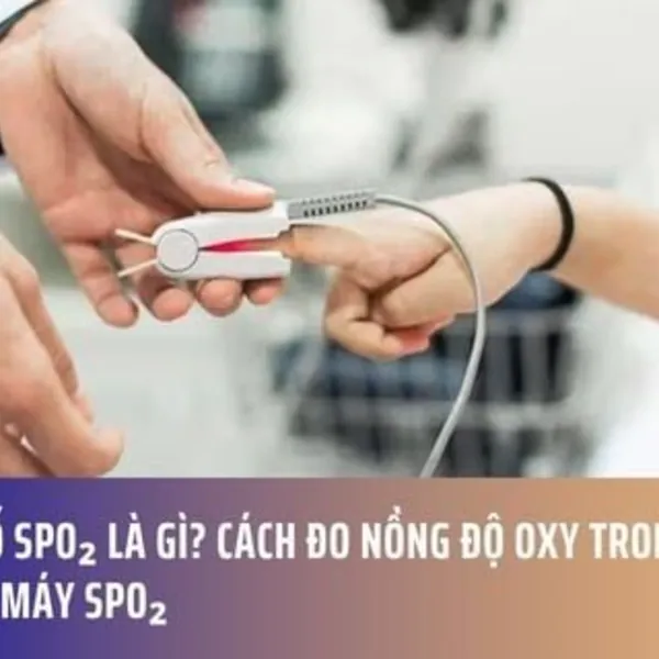 Chỉ Số SpO₂ Là Gì? Cách Đo Nồng Độ Oxy Trong Máu Bằng Máy SpO₂