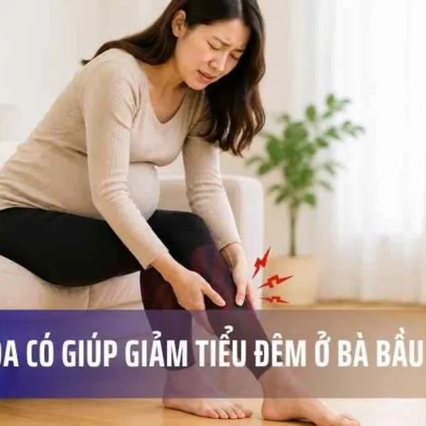 Vớ Y Khoa Giúp Giảm Tiểu Đêm Ở Phụ Nữ Mang Thai Có Phù Chân Hoặc Suy Giãn Tĩnh Mạch Chi Dưới